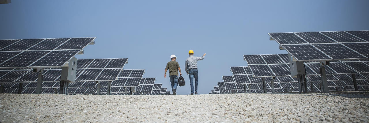two engineers walking through solar panels
