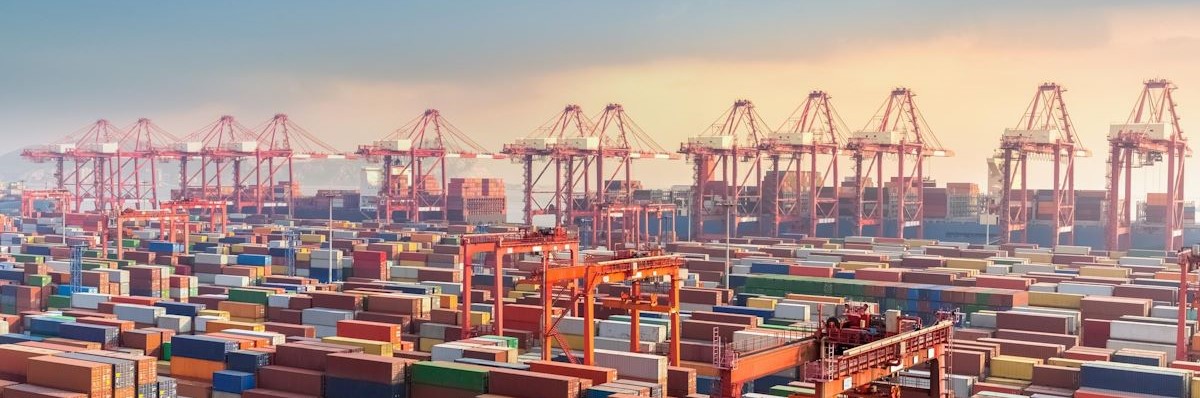 Allianz Trade DSO/WCR report