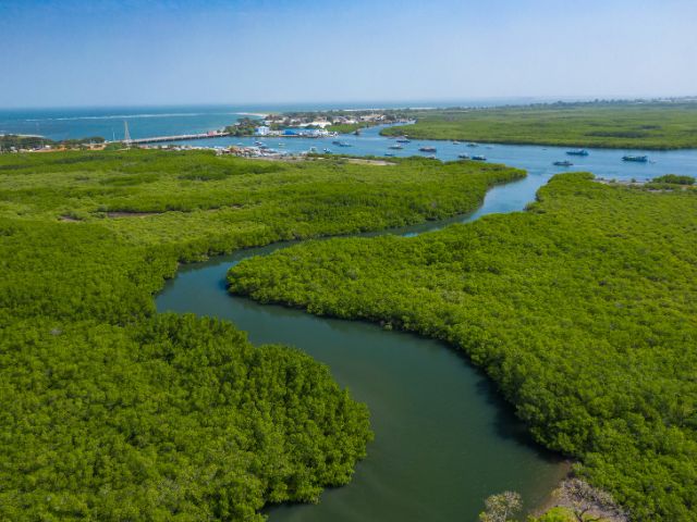 Grande fiume circondato da vegetazione