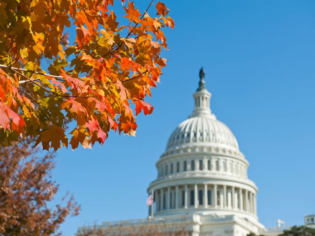 Campidoglio USA con primo piano di ramo con foglie arancioni