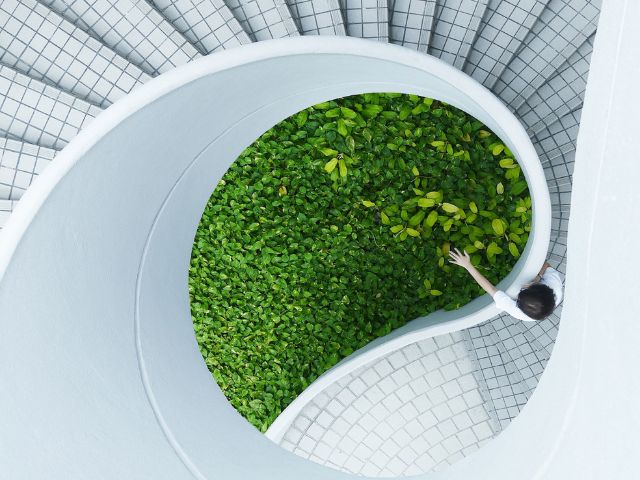 Vista dall'alto di una scala a chiocciola bianca con delle piante verdi nella tromba delle scale