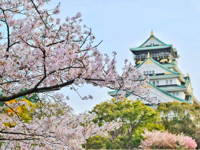 Edificio giapponese e albero di ciliegio in fiore