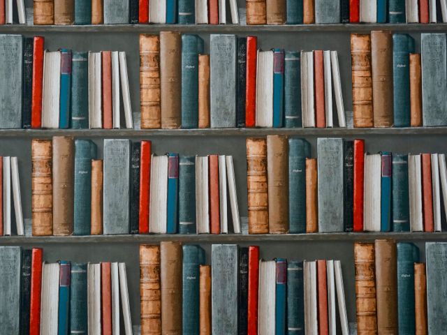 Dipinto di una libreria con scaffali contenenti antichi volumi