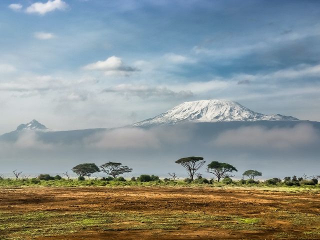 Vista della Savana con Kilimangiaro sullo sfondo