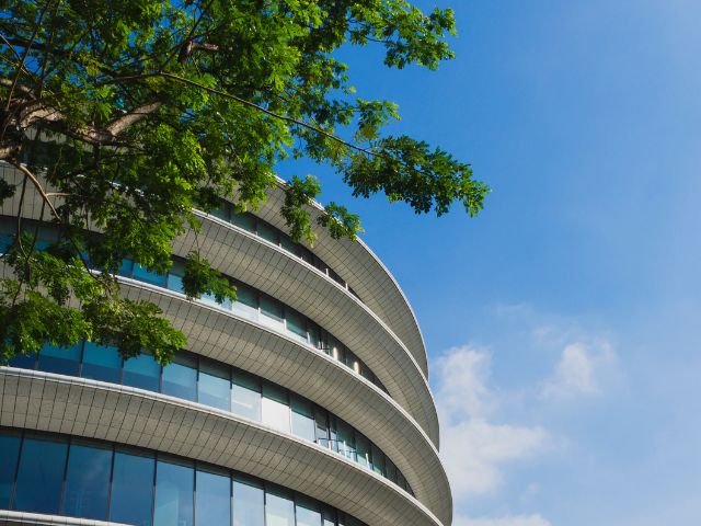 Edificio moderno con vetrate, con rami verdi davanti e cielo azzurro sullo sfondo