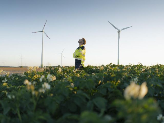 Un tecnico controlla il funzionamento delle pale eoliche