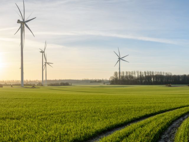 Parco eolico in funzione