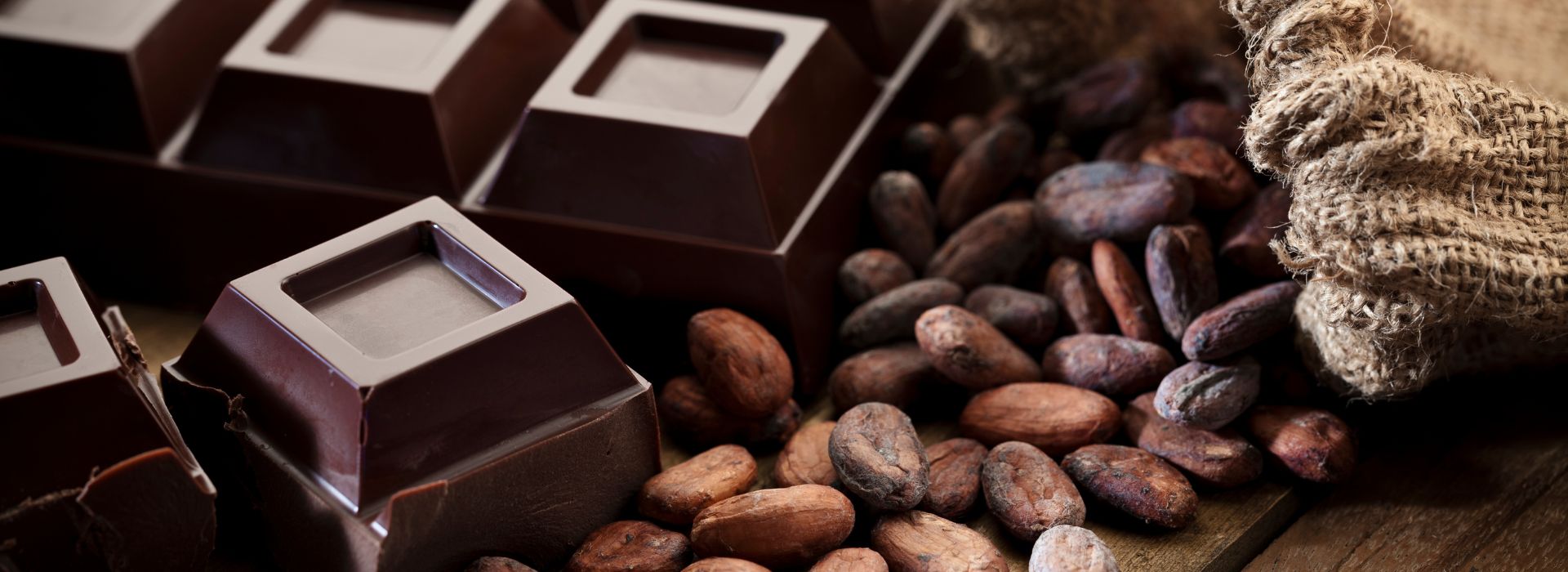 Tavoletta ci cioccolato e semi di cacao