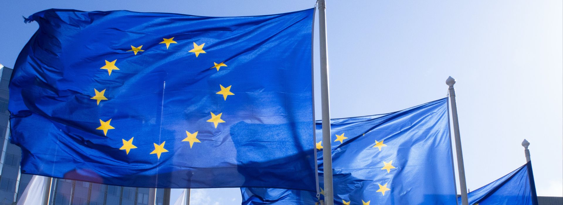 Bandiere dell'Unione Europea
