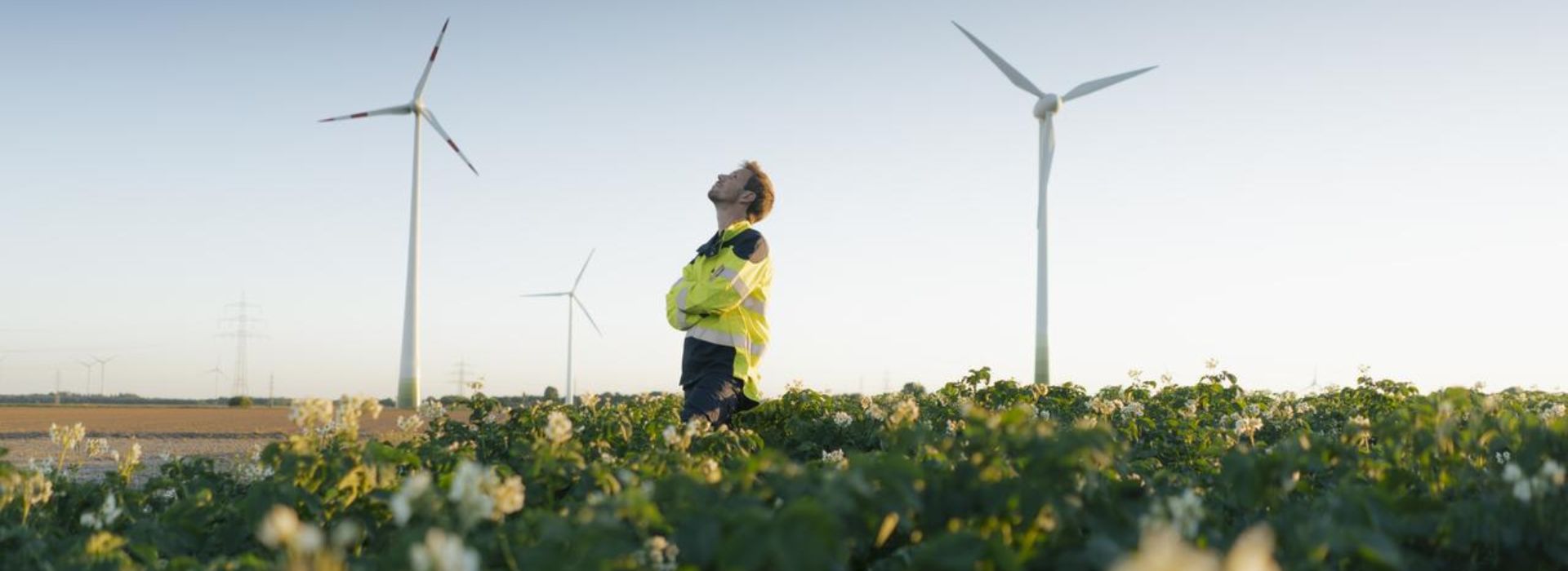 Un tecnico lavora in un parco eolico