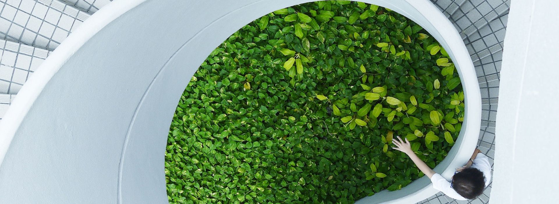 La politica monetaria verde