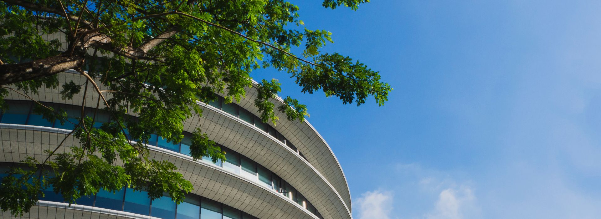 Edificio moderno con davanti rami di un albero