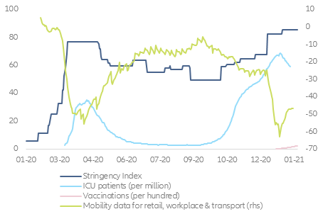 Figura 1 – L’economia dei vaccini (esempio Germania)