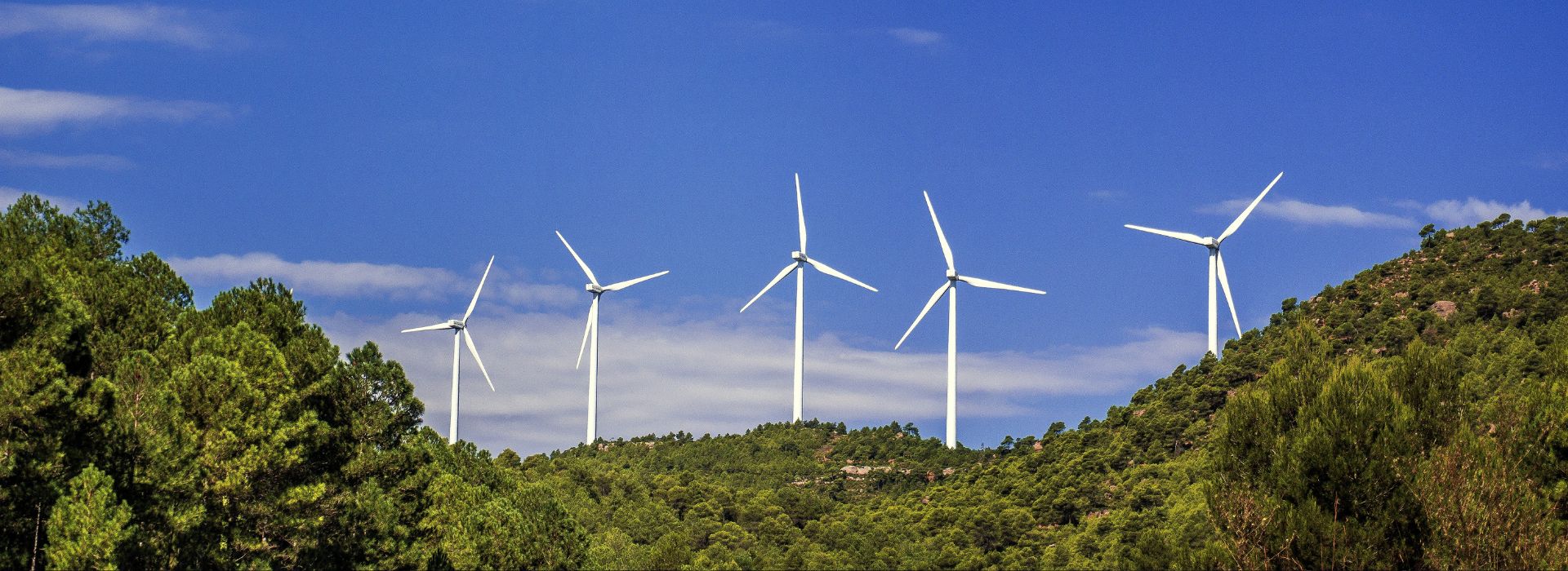 Pale eoliche in funzione