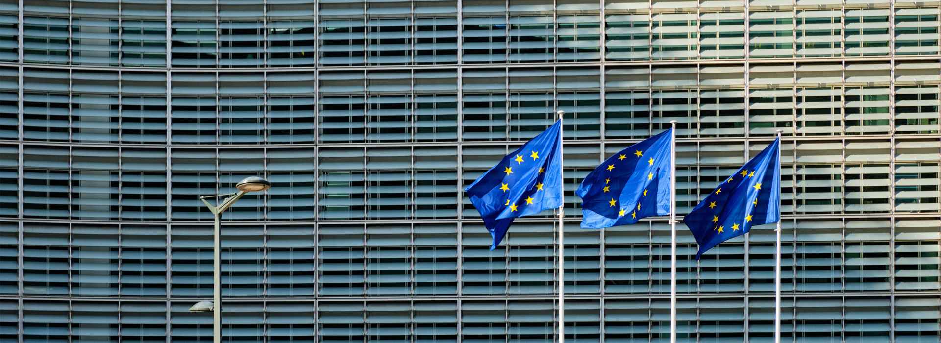 Bandiere dell'Unione Europea