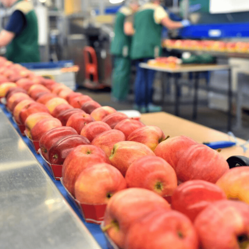 setor agroalimentar produção de fruta