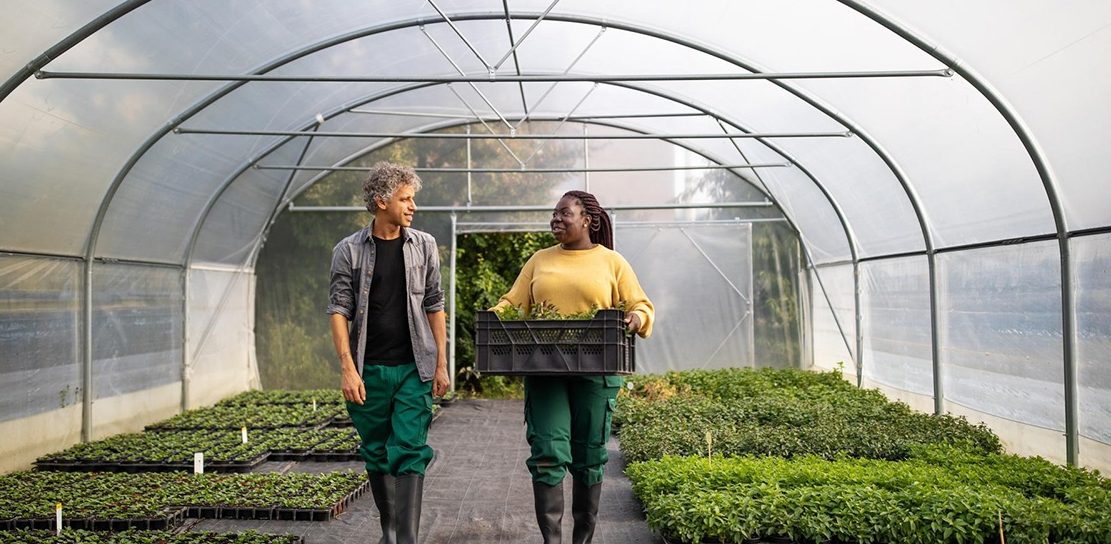 Kender du dine kunders kreditværdighed?