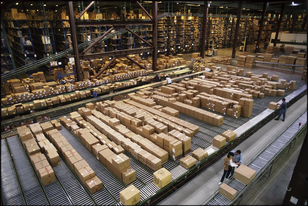 wholesales, economic foresights