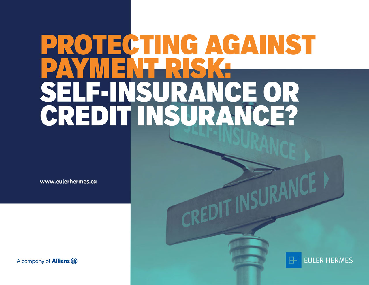 Self insurance vs credit insurance