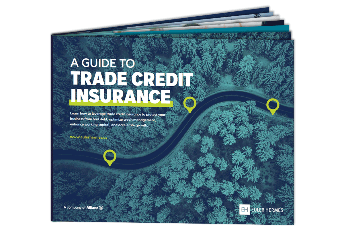 A Guide to Trade Credit Insurance eBook Thumbnail