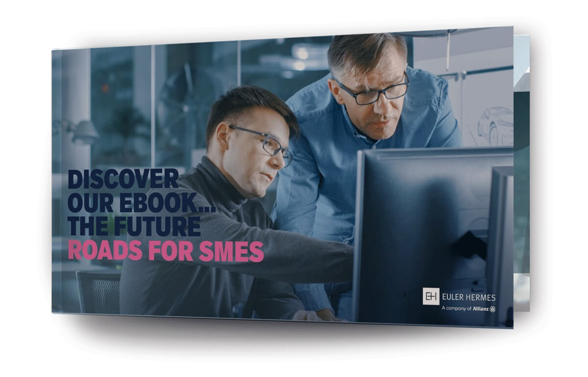 The Future Path for SMEs eBook Thumbnail
