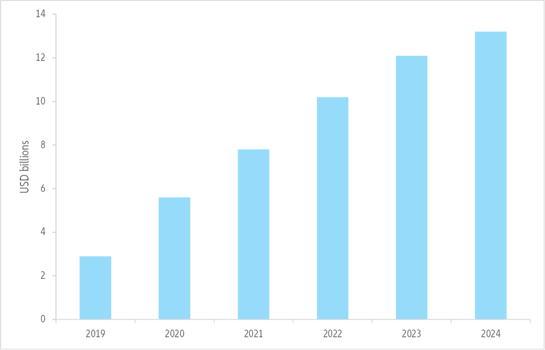 Figure 10: Enterprise blockchain market growth (2019 – 2024)