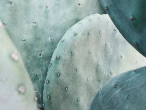 Western Europe: reforms reloaded